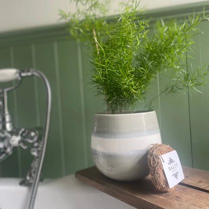 Naturalna Myjka do Ciała z Korzenia Wetiwerii (Luffa) – Rytuał Odnowy z Kaszmiru